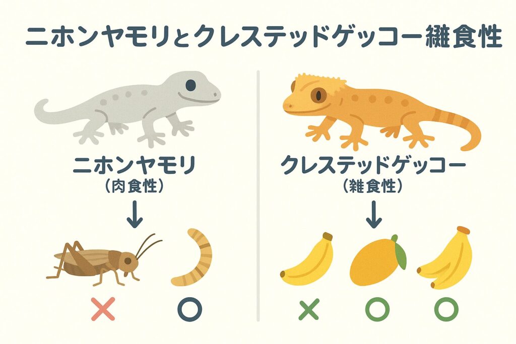 ヤモリはバナナを食べる?餌の選び方と代用品完全ガイド | PetCareBase