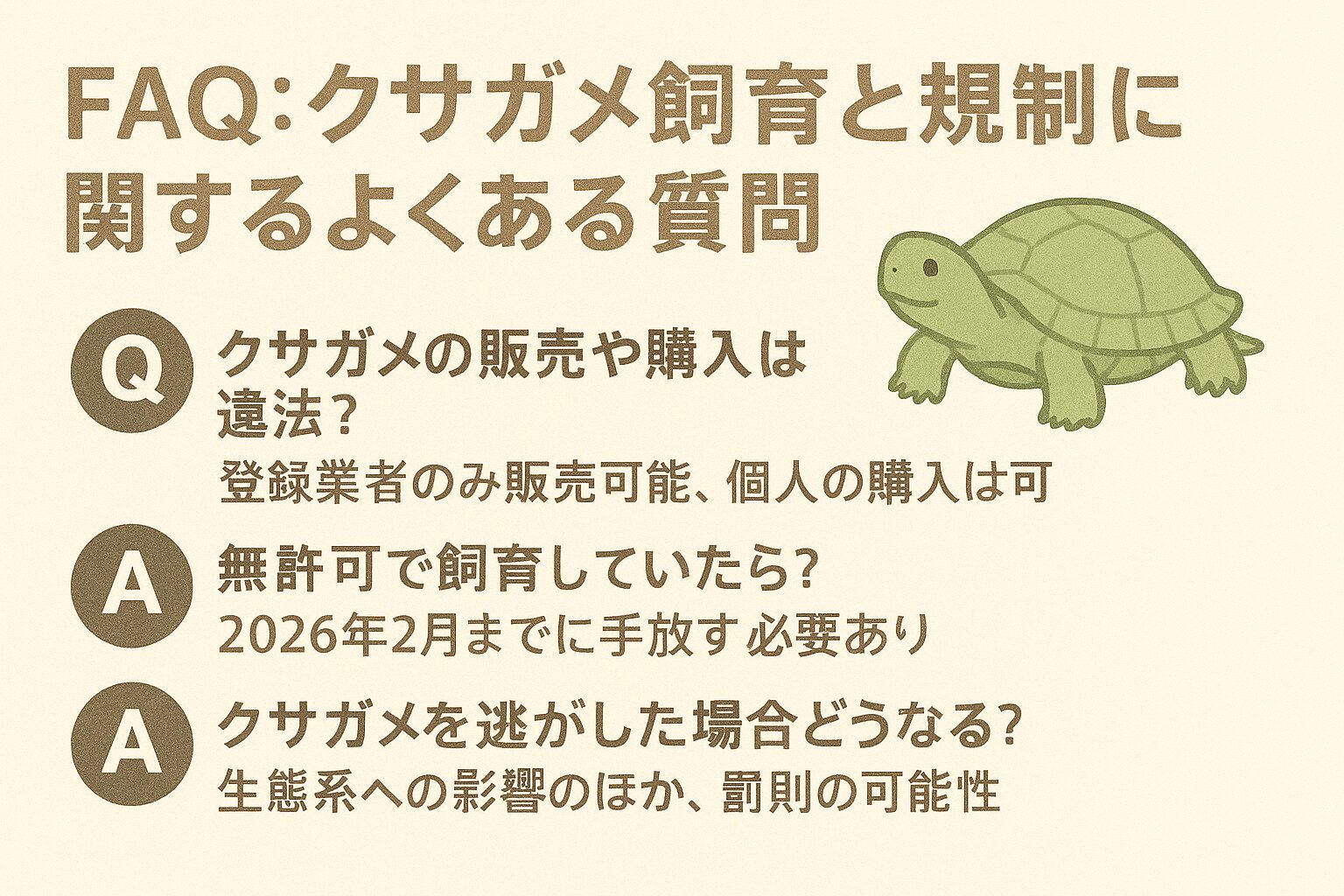 クサガメは飼育禁止?外来種規制の最新情報と正しい対応方法 | PetCareBase