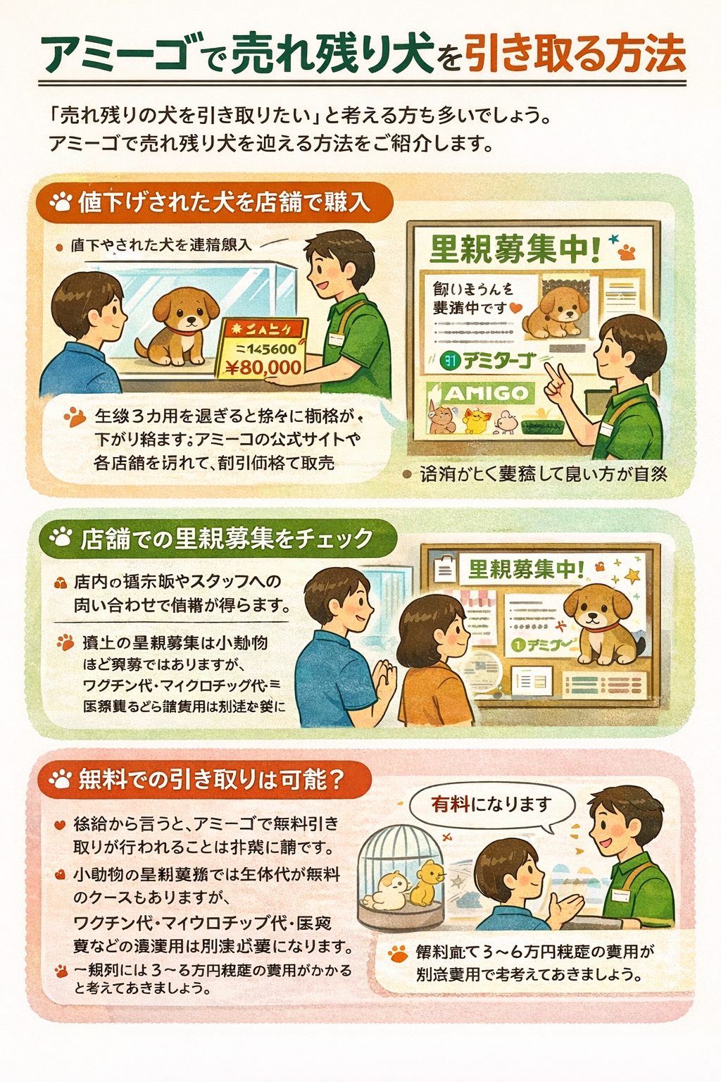 活動歴および当時の関連ビジュアル記録