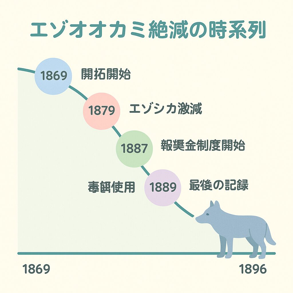 エゾオオカミ絶滅の時系列図