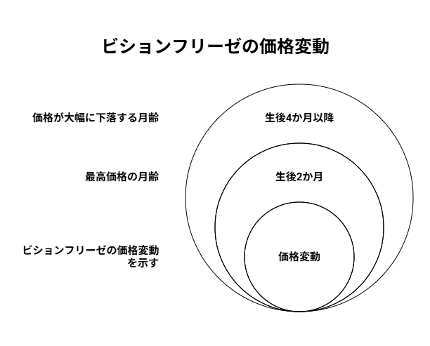 ペットショップでの扱い