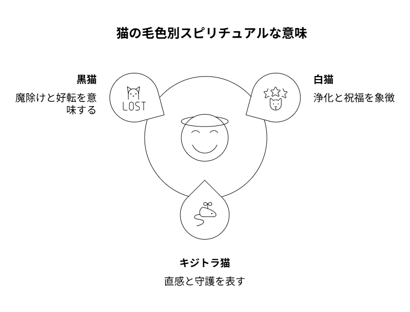 猫に会うスピリチュアルな意味とは？