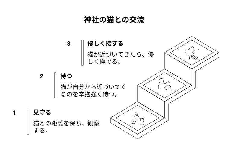 神社で猫を見かけたときの行動とマナー